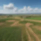 Vast agricultural land under blue skies