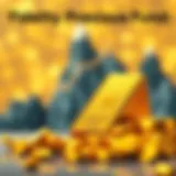 Fidelity Precious Metals Fund Overview