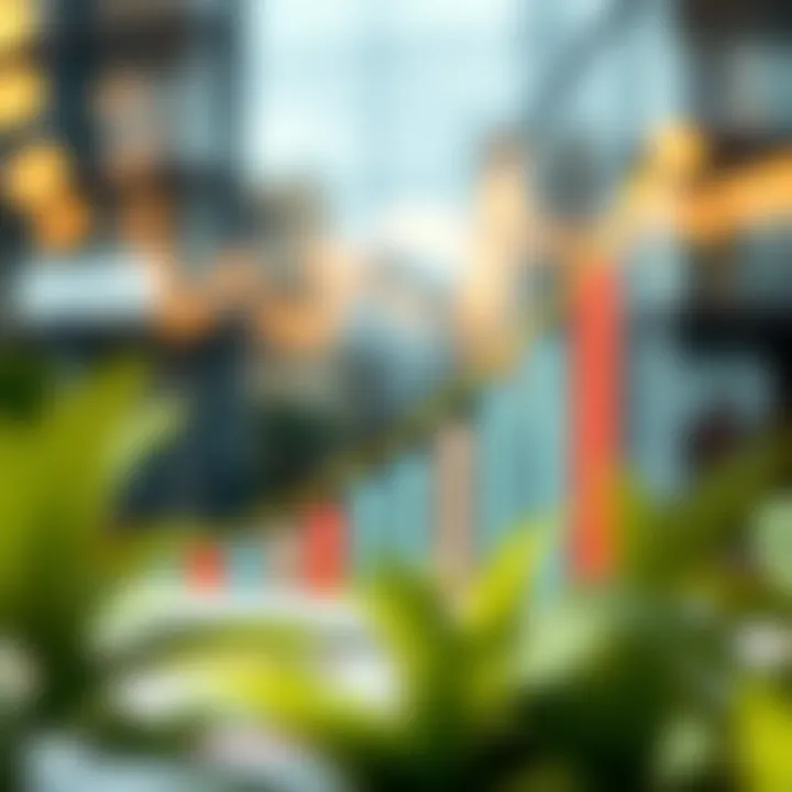 Tracking Net Worth Growth Graph showing net worth progression