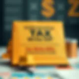 Insightful representation of tax write-off categories