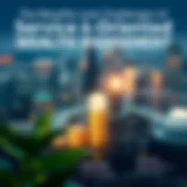 Infographic on the benefits and challenges of service-oriented wealth management