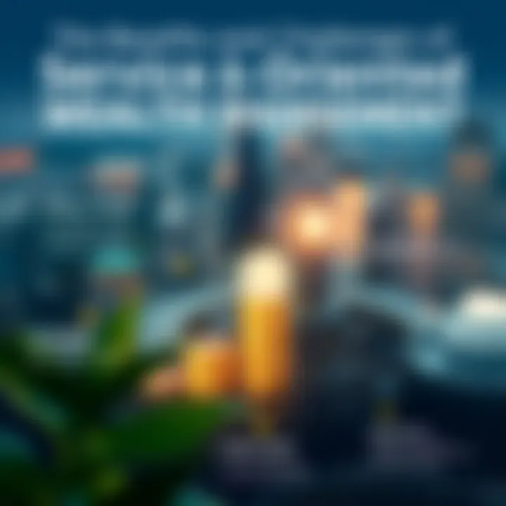 Infographic on the benefits and challenges of service-oriented wealth management