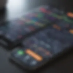 Visualization of financial tracking dashboard on iPhone