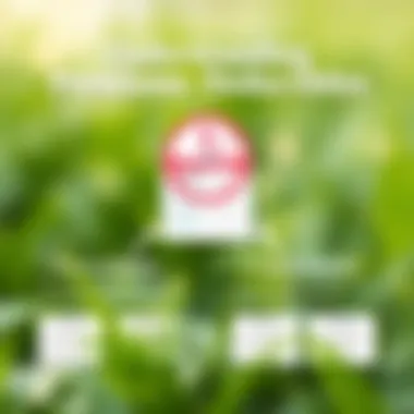 An infographic showing premiums and deductibles