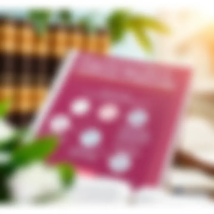 An overview of essential steps in legal decision-making