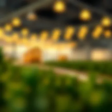 An illustration depicting a seamless application journey