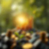 Conceptual representation of wealth growth